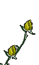 Growing yellow flower